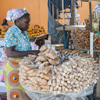 Retiring in Abidjan