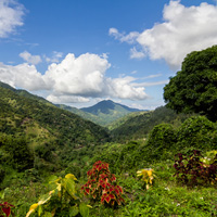 Driving-in-Spanish-Town